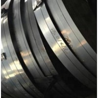 Cold Rolled Galvanized Steel Strip / Steel Coil / Steel Band for Roller Shutter Door