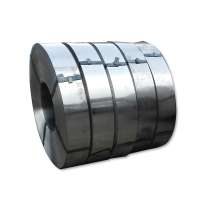 Wholesaler Cold Rolled Galvanized Steel Strip / Steel Coil / Steel Band for Roller Shutter Door