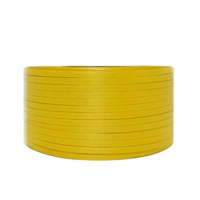 High quality china pp packing strip